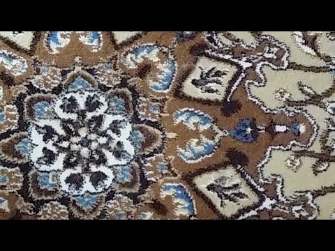 القارئ الشيخ مؤنس عبدالموجود صلاة التراويح 14 رمضان 1439