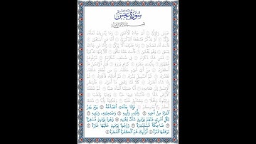 نُورُ الهُدى: سورة عبس: قراءة الآيات من 33 إلى 42