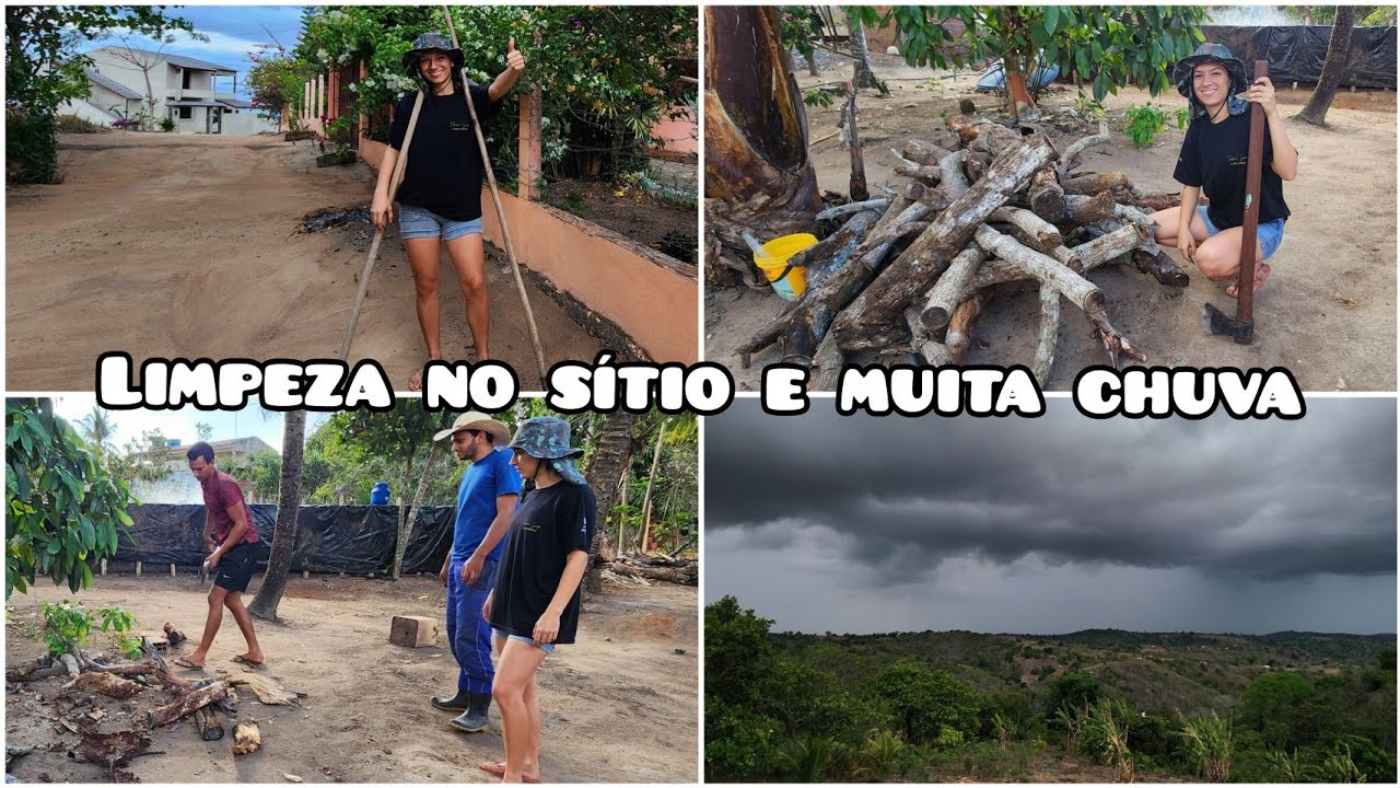 DIA de muita PRODUTIVIDADE // LIMPEZA NO SÍTIO + REPONDO LENHA // CHUVA na nossa terrinha 