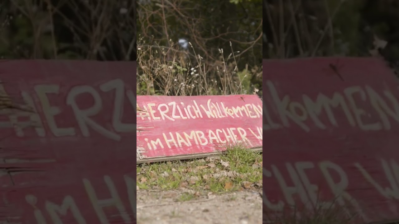 Leben im Wald - Baunhaussiedlung, Waldleben, alternatives Leben