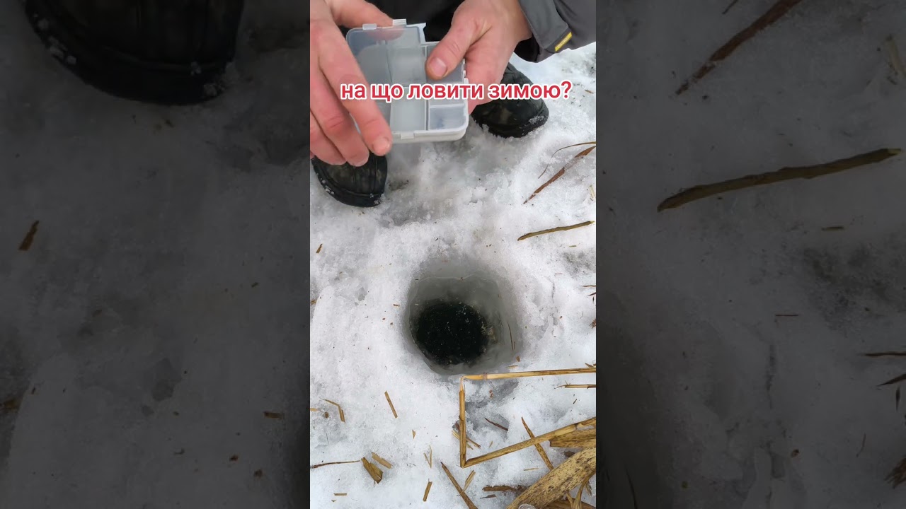 Яку взяти наживку? #fishing #врекомендації 