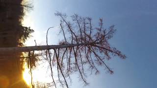 Freestyle TEST Kalman Filter 32bit