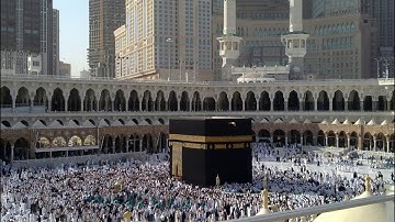 [سورة يوسف:24]