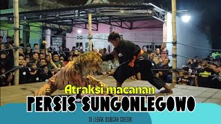 ATRAKSI MACANAN PERSIS SUNGONLEGOWO (DI LEBAK BUNGAH GRESIK)
