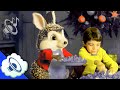 Animals cartoon for baby 🎄 Christmas music for kids 🎁✨ Telebom