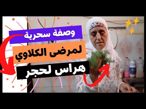 وصفة لمرضى الكلاوي من العشبة السحرية هراس لحجر