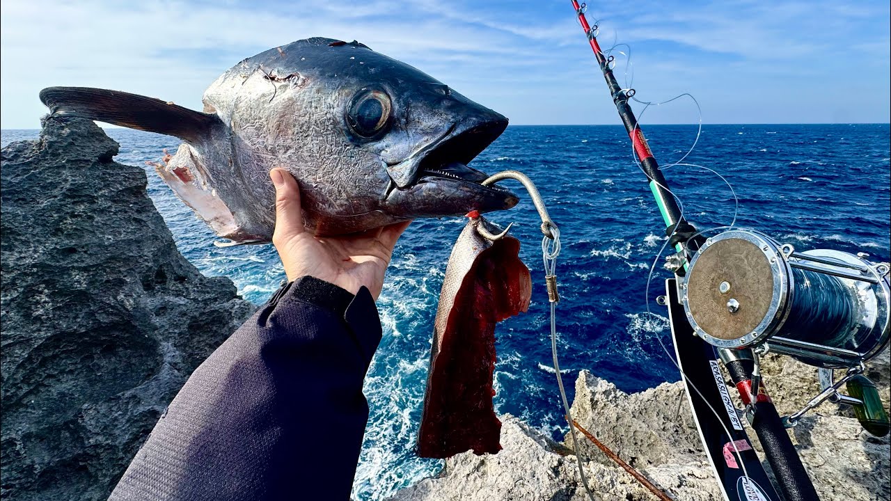 南の島で大物狙い!
