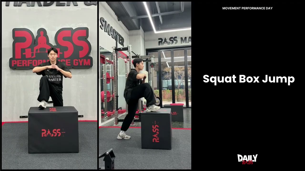 Squat box juup