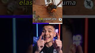 A ARMA SECRETA DAS ABELHAS INCRÍVEL #curiosidades #curiosidadesdomundo #abelhas