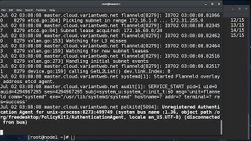 Adding a Node to an All-in-one Kubernetes Cluster on Fedora