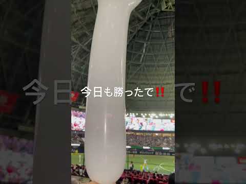2026年6月25日