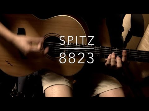 spitz/8823