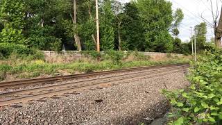 Nj Transit Alp-46A At Little Silver Nj