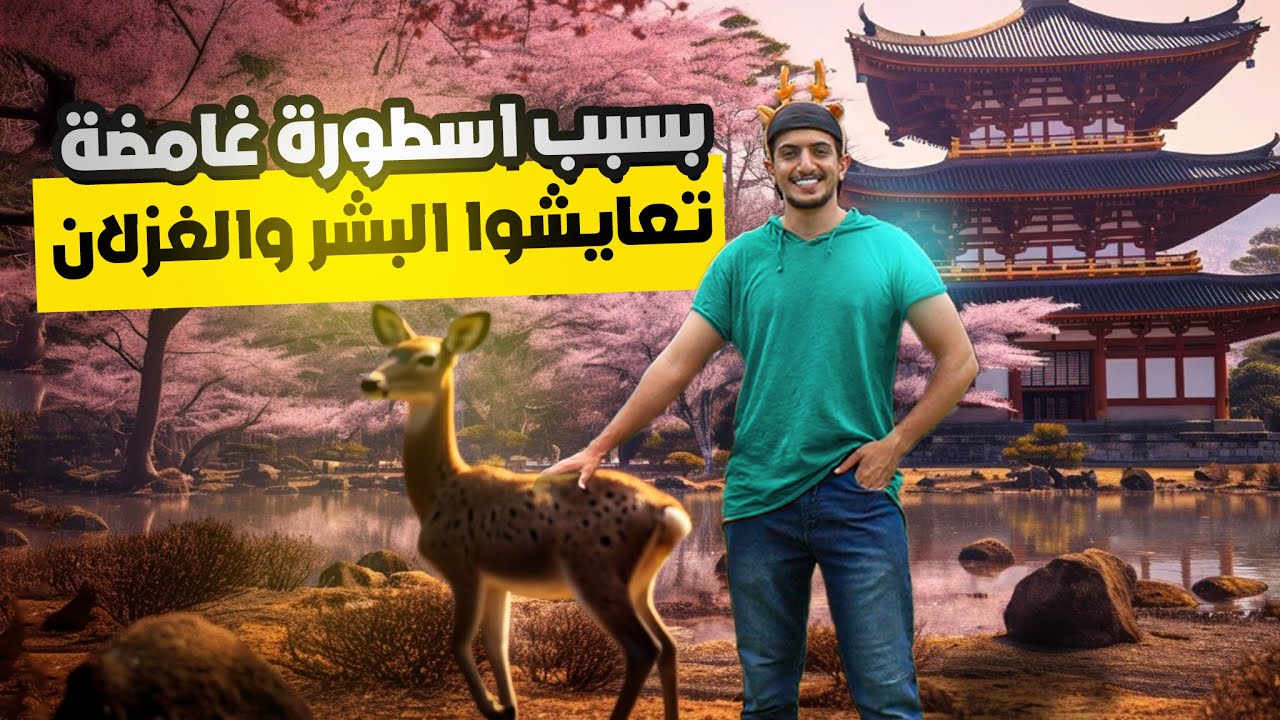 سمعت عن عاصمة اليابان القديمة والغزلان المقدسة؟ - Exploring Nara Japan ...