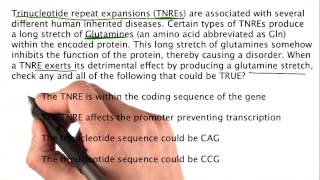 Problem 11 - Tales from the Genome