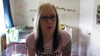 Fleece Bedding/Cage Liners For Guinea Pigs