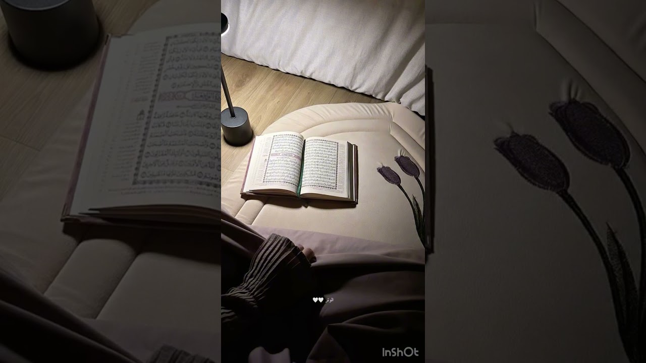 أمرك كلمح بالبصر فاستعدي لأيام تتغير فيه الأقدار ، ماوصلك صدفة