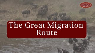 The Great Migration Explained | Wildebeest Journey Through Serengeti & Maasai Mara