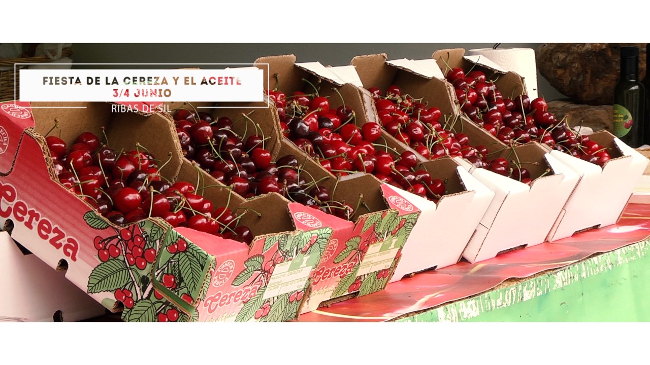 FIESTA de la cereza y el aceite en Ribas de sil (promo festeiros en v FIESTA de la cereza y el aceite en Ribas de sil (promo festeiros en v