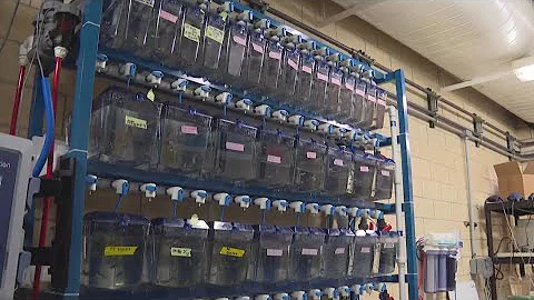 Purdue research team digs deeper into PFAS contamination in Indiana