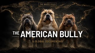 The American Bully: The Breed That Almost Conquered The World | The Breed Files Documentary
