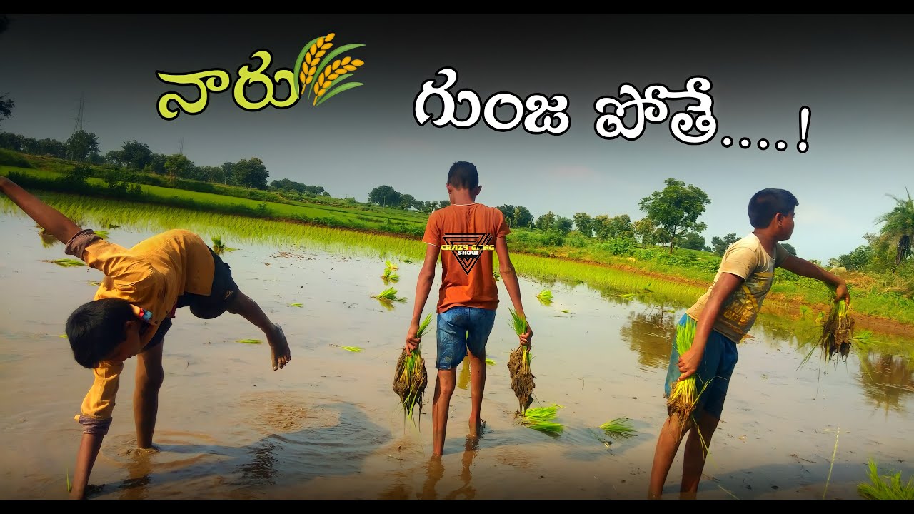 నారు గుంజ పోతే || NAARU GUNJA POTHEY || CRAZY GANG SHOW