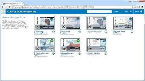 Common Operational Picture