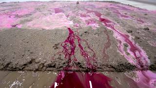 This Shag Rug Survived a Mudslide – Pink Foam Uncovered a Color I Never Expected | Carpet Cleaning screenshot 4