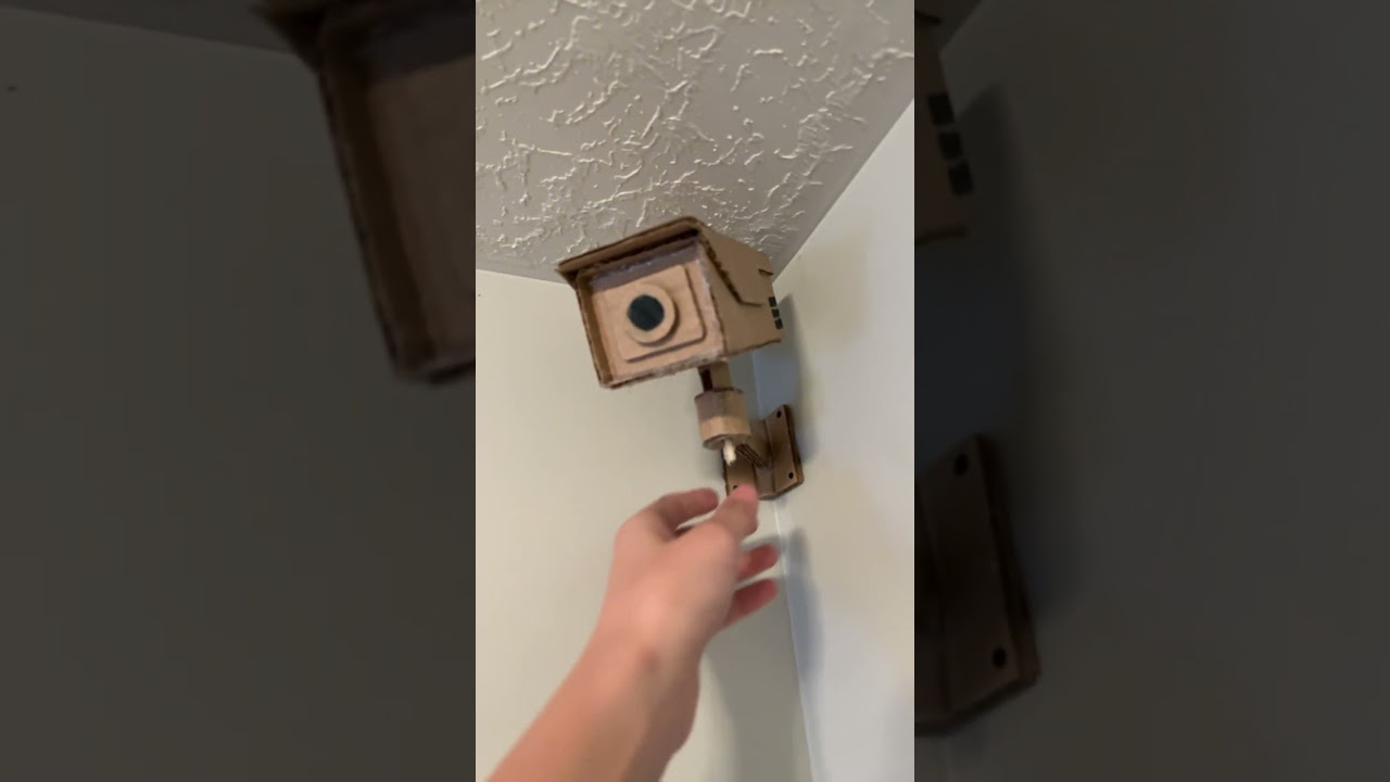 Cardboard tank and security camera!!!🥒