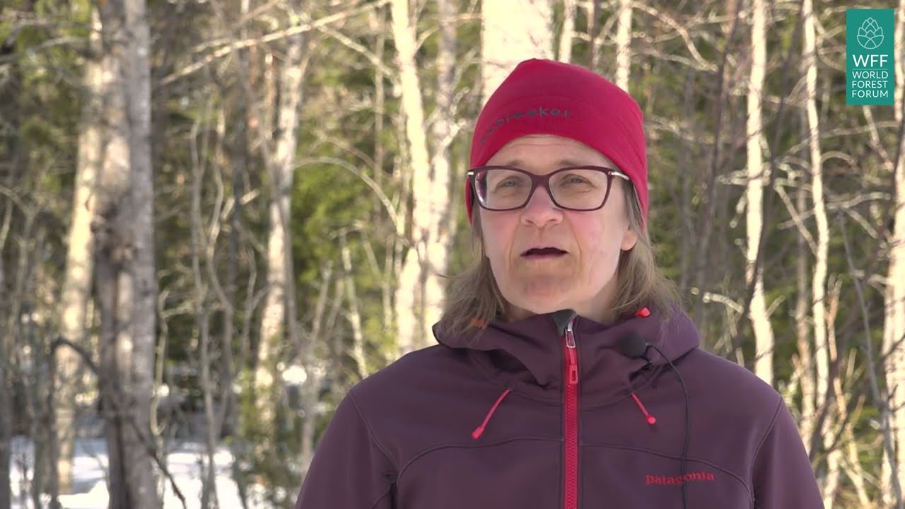 Att mäta biologisk mångfald - World Forest Forum