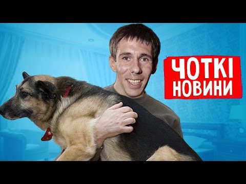 Смотреть клип ПАНИН И ЕГО СОБАКА (ВИДЕО БЕЗ ЦЕНЗУРЫ) онлайн бесплатно в качестве Смотреть клип ПАНИН И ЕГО СОБАКА (ВИДЕО БЕЗ ЦЕНЗУРЫ) онлайн бесплатно в качестве