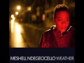 Meshell Ndegeocello - Crazy and Wild