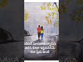 #love