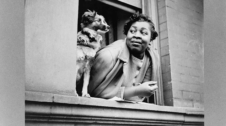 The Bitter and the Sublime: Deb Willis on African ...