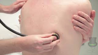 Resp - Auscultation of the Posterior Chest
