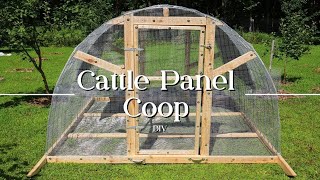 Chicken Coop Built With Cattle Panels │DIY HOOP COOP