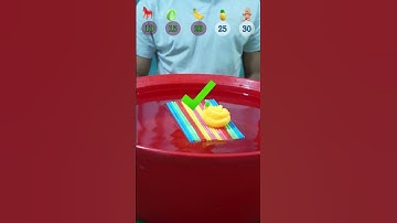 GUESS HOW MANY PAIPE WILL FLOAT ? #experiment  #satisfying #waterexperiment #asmr #asmrsounds