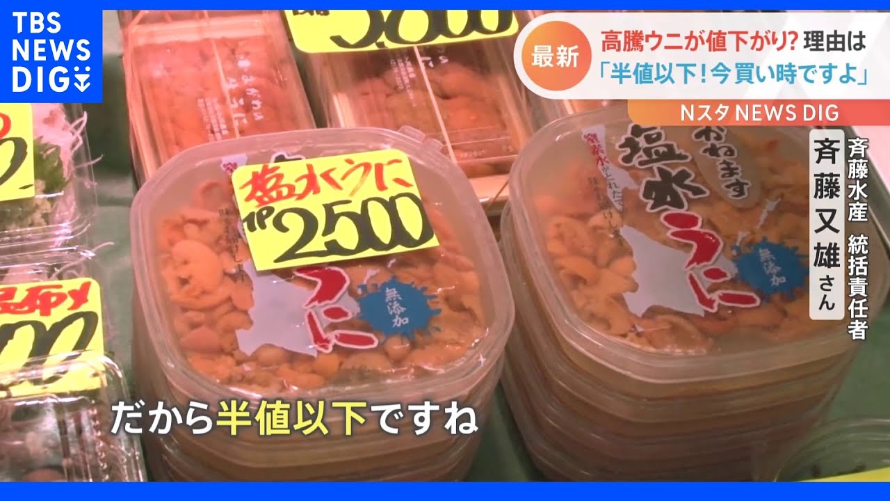 高騰ウニが値下がり？「いま買い時です」の理由は｜TBS NEWS DIG - YouTube