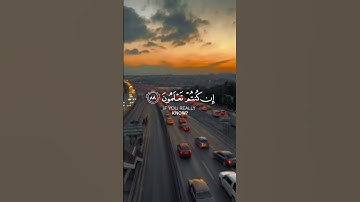 تلاوة تريح القلب 🤍 #quran #قرآن #ماهر_المعيقلي #اكسبلور #لايك #تلاوة_خاشعة
