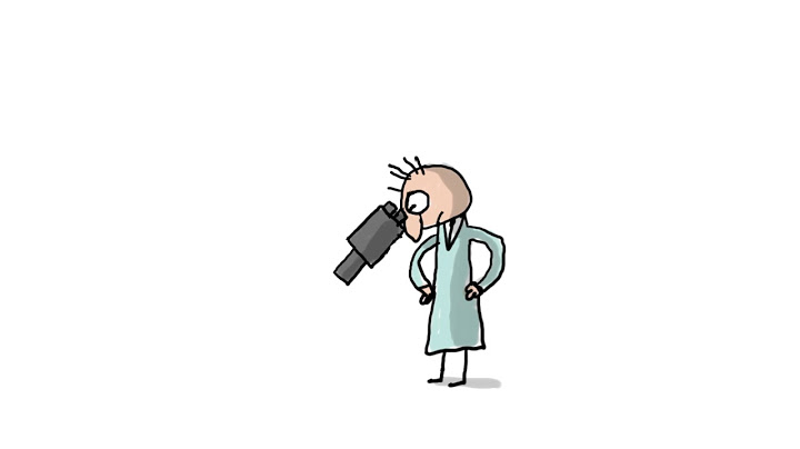 A quoi servent les algues ? - 1 jour, 1 question