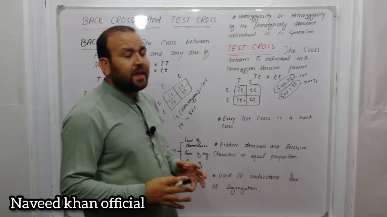 Test Cross Back Cross Test Cross And Back Cross YouTube test-cross-back-cross-test-cross-and-back-cross-youtube