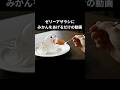 ゼリーアザラシのいる暮らし #shorts