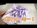 【娘とガンプラ製作】MG Hi-νガンダムVer.Ka Part1：開封編