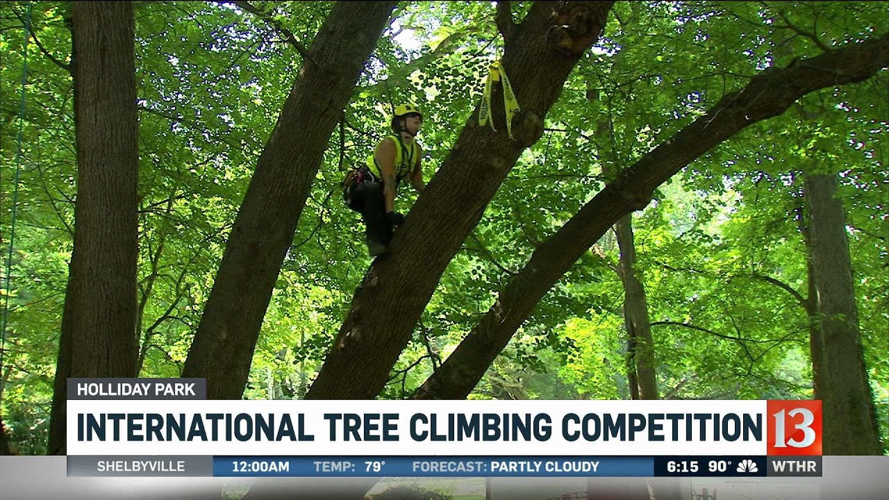 International Tree Climbing Competition - YouTube