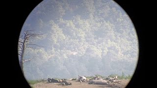 Dadia Forest & Soufli - Greece