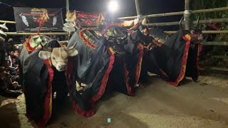 Dj Bantengansekuat Hatimu New Jinggel Kawi Sari Joyo  Rmx Jay Opus