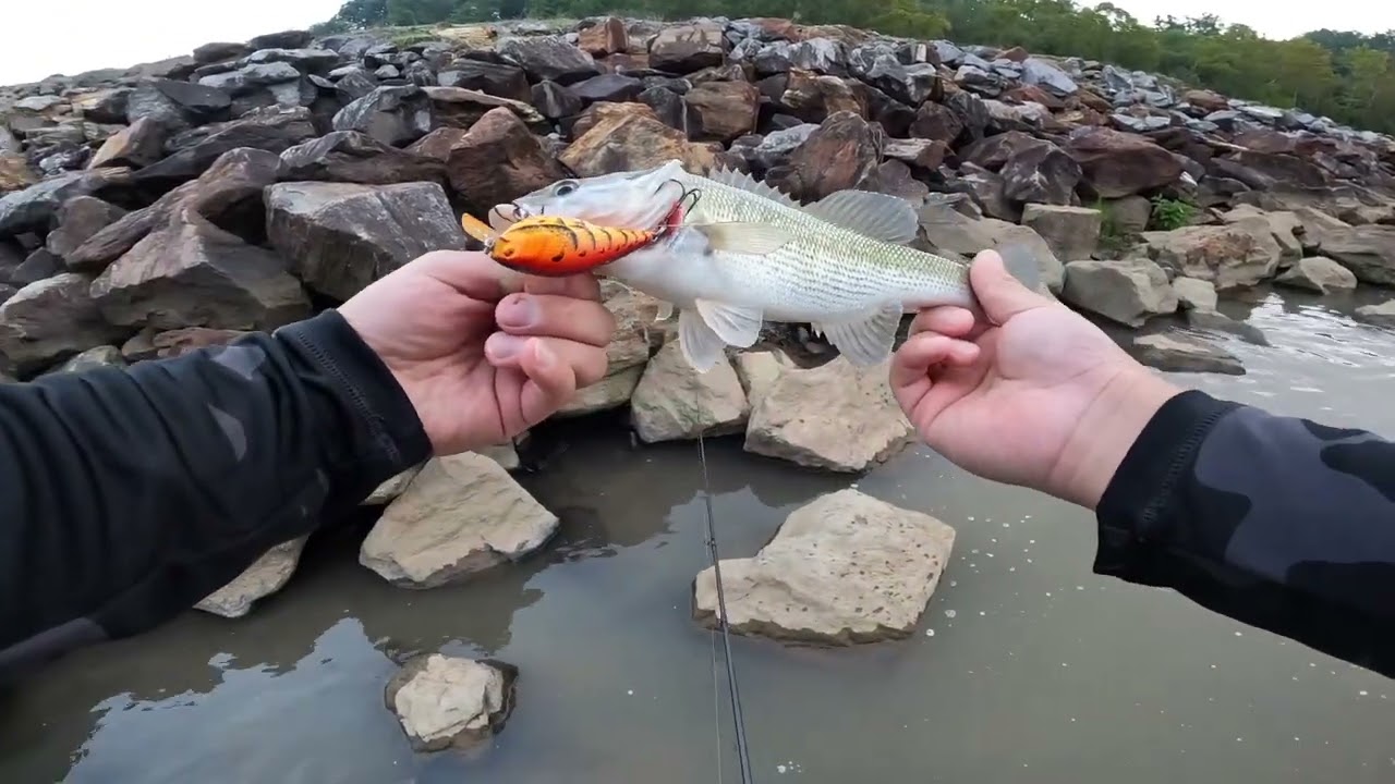 W. Kerr Scott Spillway Bass Fishing