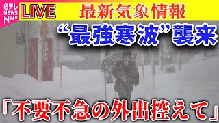 日テレNEWSの配信のサムネイル画像