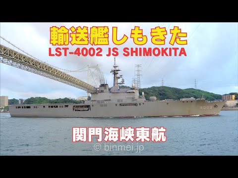【株立ち・美白斑点模様】アオダモ A250401 【茨城直接引渡し可】山採り 株立ち・美白斑点模様】アオダモ A250401 【茨城直接引渡し可