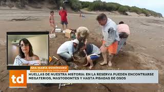Las playas de Pehuen Co guardan "tesoros bajo la arena" y fueron retratados por Darwin hace 200 años